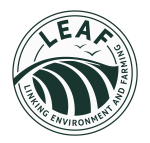 icon_certificado_03