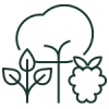 icon_sost_sec_01