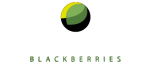 logo_lacanastita