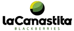 logo_lacanastita2